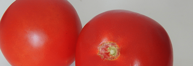 pomidory pomidorowa